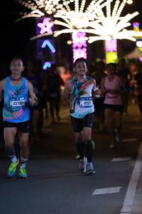 BIB: 437951, 1991, 40118
                            <button type="button" onclick="openModal(20300856)" class="btn btn-primary btn-sm float-right btn-popup" data-toggle="modal" data-target=".modal-high-quality">
                        <i class="fas fa-shopping-cart"></i> Add to Cart
                    </button>
                                            <button type="button" onclick="isThisMe(20300856, true)" class="btn btn-success btn-sm float-right btn-popup btn-isme hidden" data-toggle="tooltip" data-placement="bottom" title="นี่คือรูปของคุณใช่ไหม คลิกที่นี่เพื่อเอาเข้าอัลบั้ม">
                        <i class="fas fa-plus"></i> Add to album
                    </button>
                    <button type="button" onclick="isThisMe(20300856, false)" class="btn btn-warning btn-sm float-right btn-popup btn-isnotme hidden">
                        <i class="fas fa-ban"></i> Remove from album
                    </button>